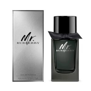 Mr.Burberry 博柏利先生淡香精